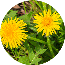 私について写真